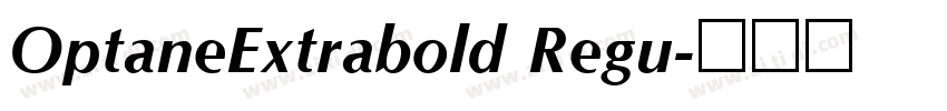OptaneExtrabold Regu字体转换